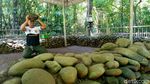 Foto: Mitos Batu Penentu Kesuksesan di Ciamis