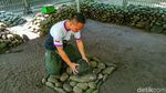 Foto: Mitos Batu Penentu Kesuksesan di Ciamis