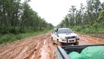Jalan Perbatasan Papua 1.098 Km Dibangun Tembus Hutan dan Bukit