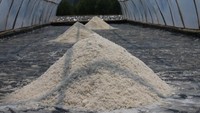 Lokasi produksi garam milik Azhar terletak di Desa Lam Ujong, Kecamatan Baitussalam, Aceh Besar, Aceh. Di sana, terdapat sebuah tempat mirip gubuk yang dijadikan tempat memasak garam. 