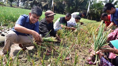 Pelatihan untuk Petani Bawang