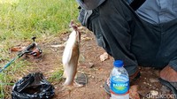 Diat (30) adalah salah satu warga yang nampak sedang memancing di pinggir BKT Marunda. Diat  mengaku sudah terbiasa memancing di kali tersebut dan merasa tidak terganggu dengan kemunculan busa.
