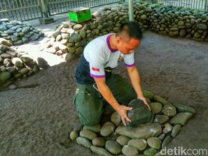 Foto: Mitos Batu Penentu Kesuksesan di Ciamis