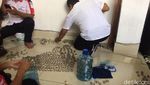Beli Motor Puluhan Juta dengan Uang Koin Seceng