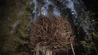 Di Swedia ada Treehotel yang berada di dalam hutan pinus di Harads, Swedia. Penginapan canggih dengan desain unik, menghadirkan kenyamanan di tengah hutan. (Booking.com)