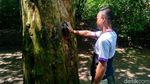 Foto: Mitos Batu Penentu Kesuksesan di Ciamis
