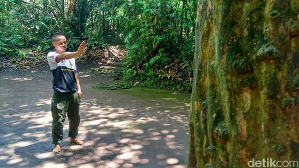 Lalu tangan diluruskan berjalan sekitar 9 langkah sambil menutup mata menuju pohon bungur yang berada di tengah. (Dadang Hermansyah/detikTravel) Lalu tangan diluruskan berjalan sekitar 9 langkah sambil menutup mata menuju pohon bungur yang berada di tengah. (Dadang Hermansyah/detikTravel)