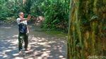 Foto: Mitos Batu Penentu Kesuksesan di Ciamis