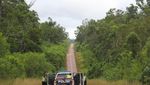 Jalan Perbatasan Papua 1.098 Km Dibangun Tembus Hutan dan Bukit