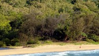 Penginapan di pesisir Pantai Oak, Australia ini juga ramah lingkungan. Thala Beach Nature Reserve, menawarkan pantai pribadi dan pemandangan indah karang laut yang berkilauan. Penginapan ini memiliki bungalo berbahan dasar kayu, perkebunan kelapa organik, dan kolam renang alami yang terbentuk dari batu granit, dan air terjun. (Booking.com)