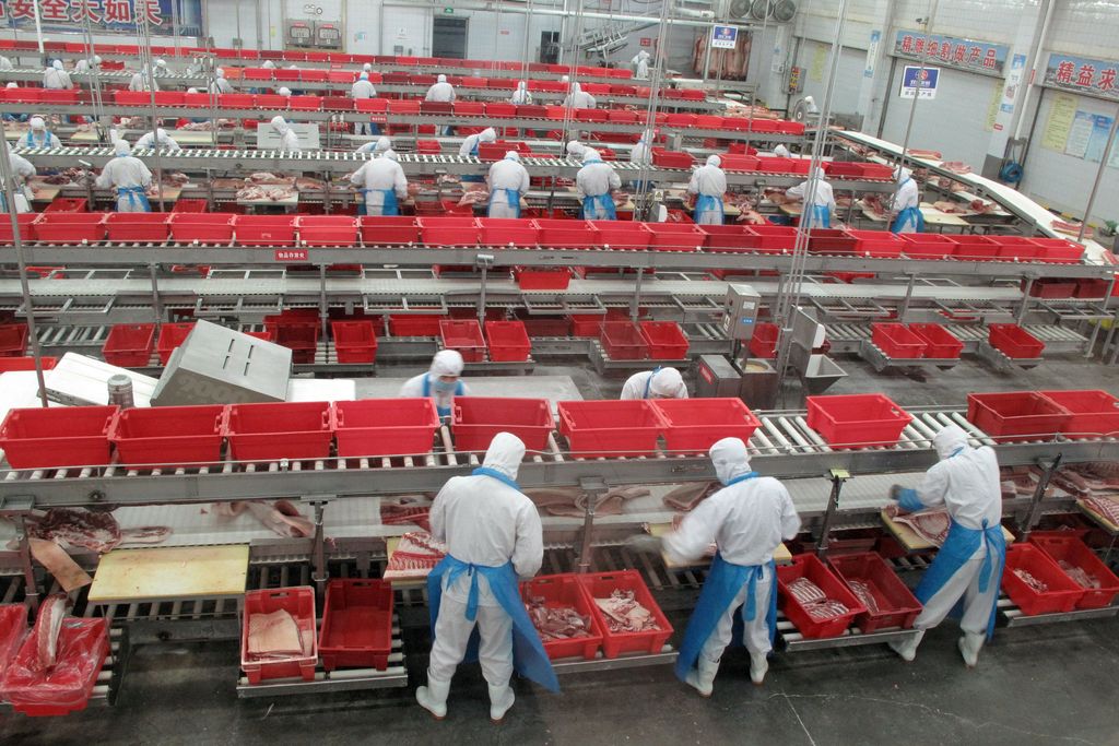 FILE PHOTO: Workers sort cuts of fresh pork in a processing plant in Zhengzhou, Henan province China, November 24, 2017. Picture taken through glass.  REUTERS/Dominique Patton/File Photo