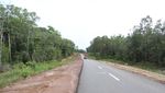 Jalan Perbatasan Papua 1.098 Km Dibangun Tembus Hutan dan Bukit