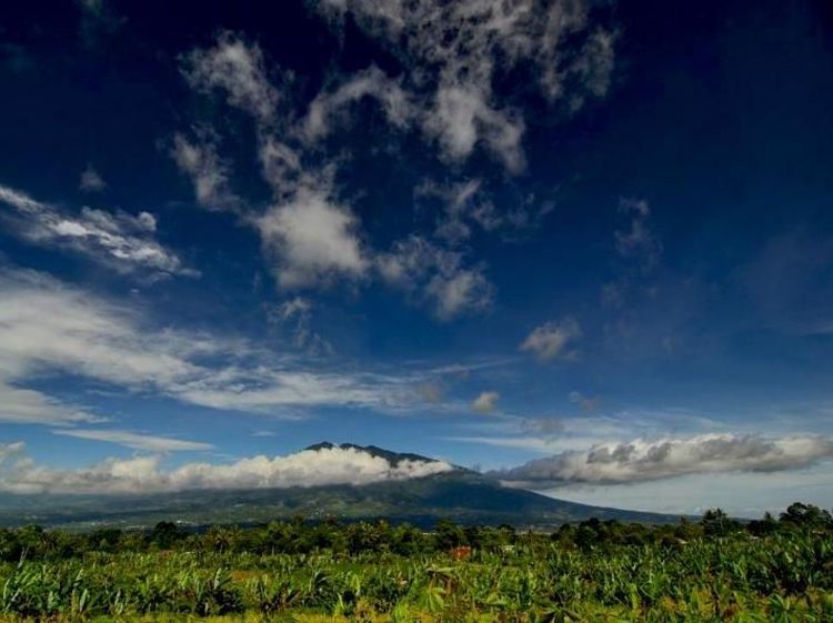 Mau Ngopi Lucu Sambil Lihat Gunung Salak, ke Sini Saja