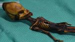 Penampakan Mumi Alien Misterius di Chile