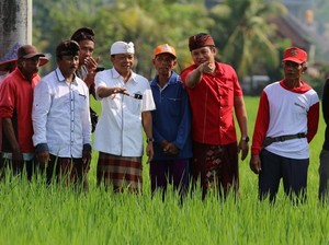 Gubernur Koster Wajibkan Hotel Pakai Produk Petani Lokal Bali