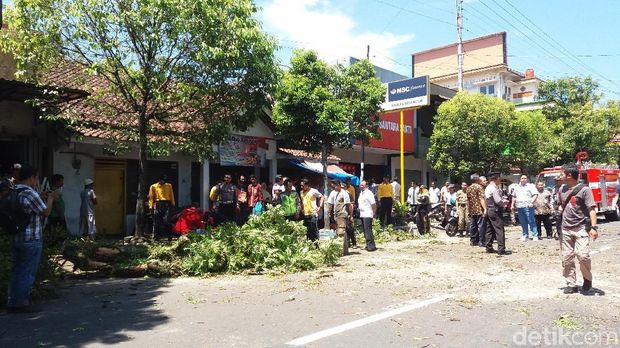 2 Pemotor Meninggal Tertimpa Pohon Peneduh Jalan di Banjarnegara
