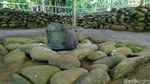 Foto: Mitos Batu Penentu Kesuksesan di Ciamis