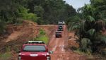 Jalan Perbatasan Papua 1.098 Km Dibangun Tembus Hutan dan Bukit