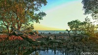 Di sekitar pantai, juga ada tanaman bakau. Untuk sampai ke pantai ini, terbilang cukup mudah karena jaraknya dekat dari Kota Makassar dan juga Kota Maros. (Bakrie/detikTravel)