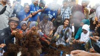 Susi berharap panen raya ini diharapkan akan menjadi awal menuju ekonomi masyarakat yang lebih baik. Pool/Humas Kementerian Kelautan dan Perikanan.