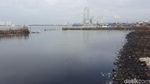 Before-After Lautan Sampah Teluk Jakarta Jadi Hamparan Mangrove