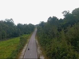 Jalan Perbatasan di Kalimantan, Dulu Rusak Sekarang Mulus