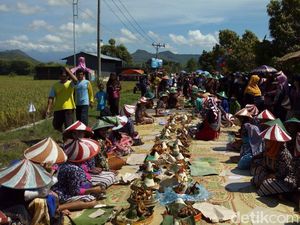 Metik, Cara Warga Ponorogo Bersyukur Jelang Panen Padi