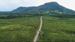 Jalan Perbatasan di Kalimantan, Dulu Rusak Sekarang Mulus