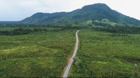 Sebagai informasi panjang jalan perbatasan di Kalimantan mencapai 1.920 km. Jalan tersebut tersebar di Kalimantan Barat sepanjang 849 km, Kalimantan Timur 243 km dan Kalimantan Utara 827 km.Foto: Dok.Facebook Presiden Jokowi/Instagram PUPR