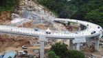 Keren Banget! Jalan Layang Ini Dibangun Meliuk di Antara Hutan