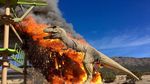 Penampakan T-Rex Habis Dilalap Api hingga Akhirnya Punah