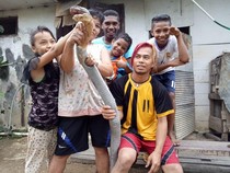Keberanian Pria Kalimantan Taklukkan Ular King Cobra Raksasa
