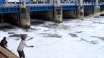 Mancing Ikan di Lautan Busa