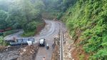 Keren Banget! Jalan Layang Ini Dibangun Meliuk di Antara Hutan