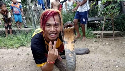 Ini Edy, Sang Penakluk King Cobra Raksasa dari Kalimantan