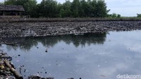 Sudah tidak terlihat sampah, hanya saja tersisa lumpur tebal.