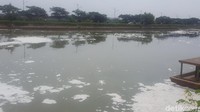 Gubernur DKI Jakarta Anies Baswedan mengatakan kemunculan busa tersebut disebabkan oleh beberapa faktor. Salah satunya beda tinggi antara muka air di KBT Marunda dan muara laut serta limbah detergen masyarakat.
