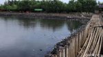 Kondisi Terkini Teluk Jakarta Pasca Sampah 116 Ton Diangkat