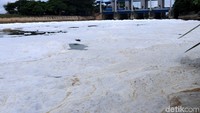 Busa hampir menyelimuti seluruh permukaan air.