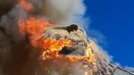 Penampakan T-Rex Habis Dilalap Api hingga Akhirnya Punah