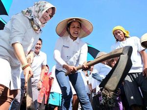 Soal Utang BUMN, Fahri Salahkan DPR Tolak Rini Soemarno Rapat
