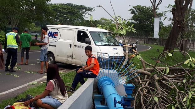 Sopir pingsan setelah menabrak pohon kamboja