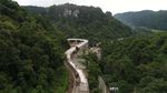 Keren Banget! Jalan Layang Ini Dibangun Meliuk di Antara Hutan