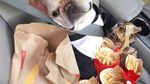 Ah, Lucunya! Sumo si Bulldog yang Suka Nugget dan Kentang Goreng