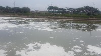 Lautan busa di Banjir Kanal Timur (BKT) Marunda, Jakarta Utara, terpantau masih menyelimuti aliran air di kali BKT setelah pintu air Weir 3 Marunda. Busa ini berasal dari limbah rumah tangga.