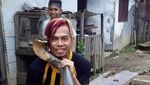 Ini Edy, Sang Penakluk King Cobra Raksasa dari Kalimantan