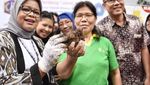 Ini Aksi Fery Baswedan Saat Petik Tomat hingga Potong Tumpeng