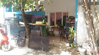 Hesti bertemu dengan anjing kedua di Bogor. Saat itu dia sedang berada di pinggir sungai dan melihat ada seekor anjing kecil yang tidak memiliki majikan.