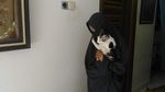Ini Hesti, Wanita Bercadar yang Pelihara 11 Anjing