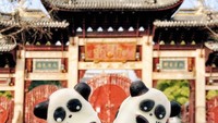 Sangat pandai membuat kue dan juga cake pop lucu, pria bernama Raymond ini memang sering memberikan kelas baking. Ini ketika dirinya sedang berada di Shanghai dan memotret dua buah cake pop berbentuk panda. Foto: Instagram @rymondtn